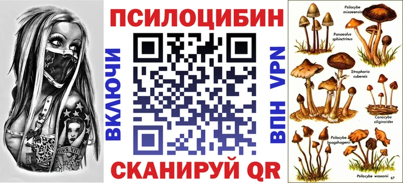 Псилоцибиновые грибы Psilocybe  Гремячинск 